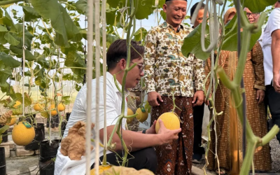 Bupati Lampung Selatan Hadiri Panen Raya “Melon Sultan” di Pondok Pesantren Istiqomah Al-Amin Cintamulya